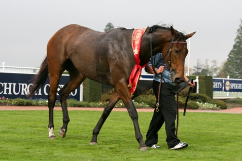 Bird is Southern Filly of the Year